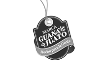 Marca Guanajuato